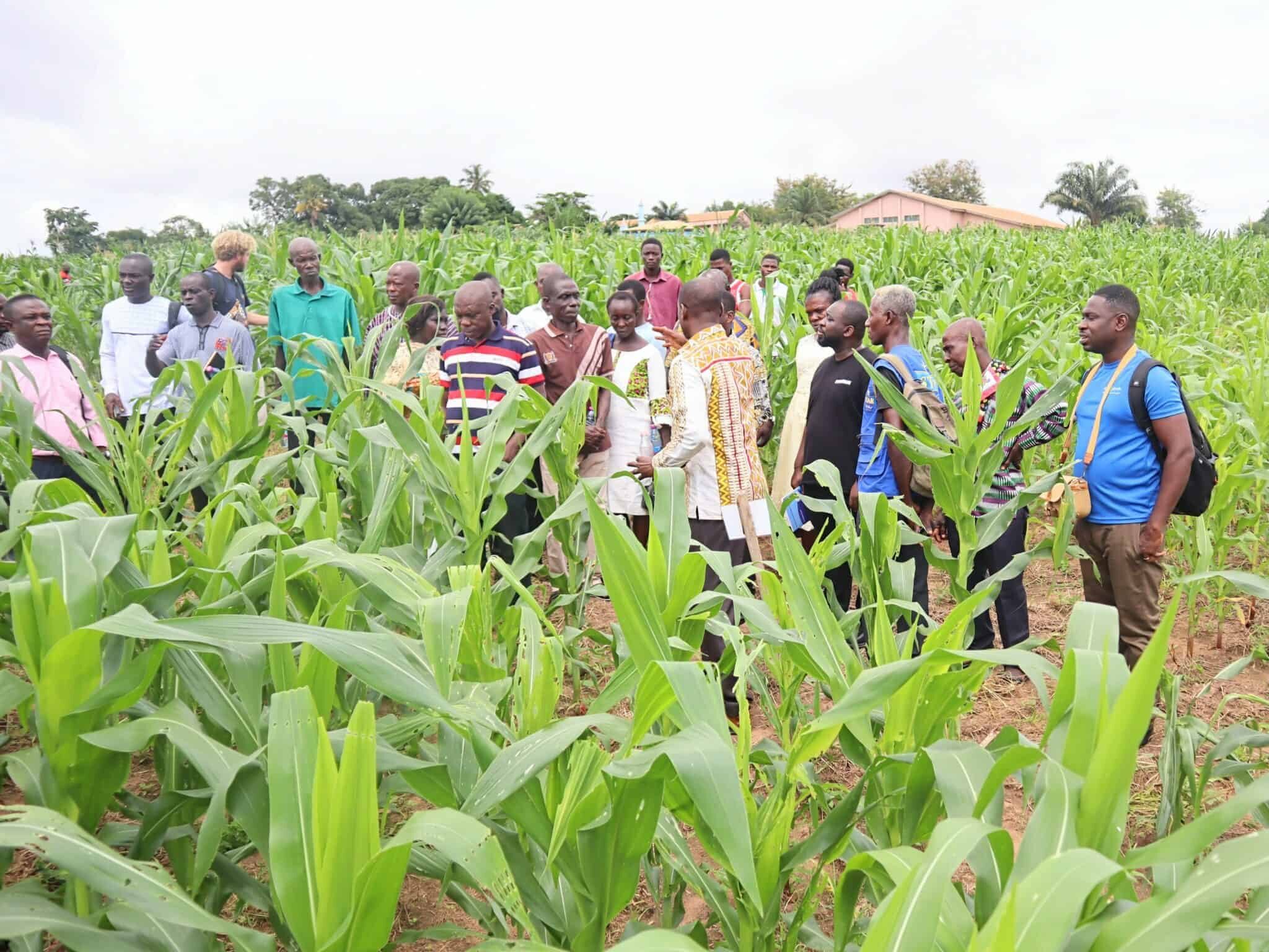 IMG_41103-1-2048×1713-1